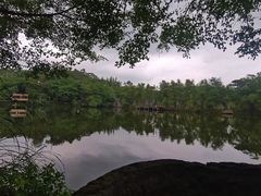-老木棉·匠园