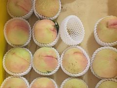 -老袁家蜜桃农场·阳山水蜜桃