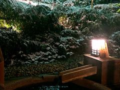 -有马温泉 竹取亭円山温泉旅馆