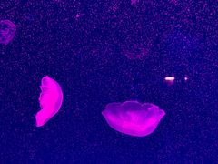 -西安华夏文旅水世界