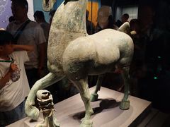 -广西壮族自治区博物馆