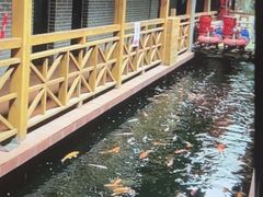 -侠成水上农庄(工业大道店)