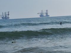 -广东惠东海龟国家级自然保护区