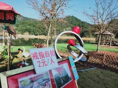 -千岛湖龙川湾