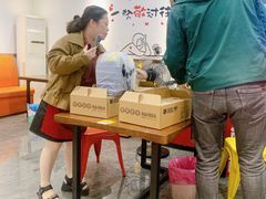 -黑猫馋纸包鱼(阳光店)