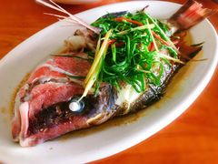 红湄鲷-南蚝小贝海鲜特色餐厅(南澳岛店)