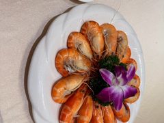 白灼罗氏虾-轩记海鲜餐厅·四十五年老字号·经典粤菜(西区彩虹店)