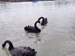 -上海野生动物园