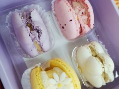 -好利来(川大店)