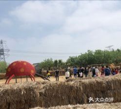 这里太好玩了