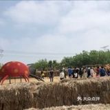 这里太好玩了