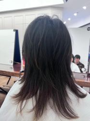 -程Studio