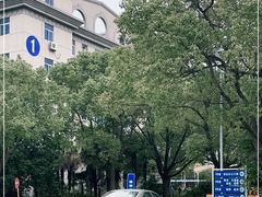 -上海市公安局交通警察总队车辆管理所三分所