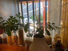 -安妮意大利餐厅(国贸店)