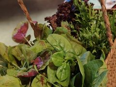 -芸山季·云南野生菌火锅(人民广场来福士店)