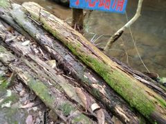 -黄金沟旅游风景区