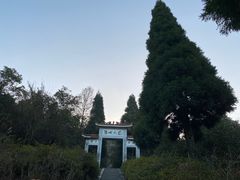 -江西阳明山国家森林公园