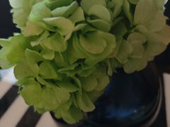 -深圳威尼斯英迪格酒店