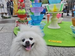 -鹏欣水游城