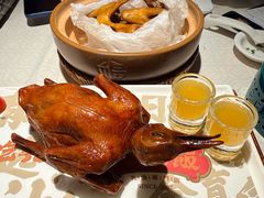 -大鸽饭(动物园店)