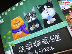 -有猫主题·治愈系猫咖(曾厝垵店)
