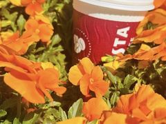 -COSTA COFFEE(上海虹口公园店)