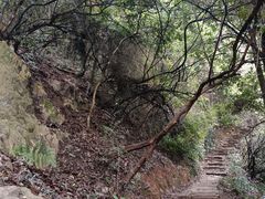 -杭州半山国家森林公园