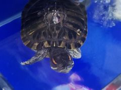 -活鱼馆(宜兴埠店)