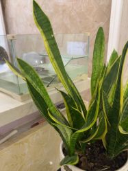 -香秀空间科技抗衰·美容中心