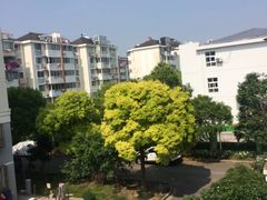 -锦绣博文幼儿园