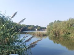 -溱湖国家湿地公园