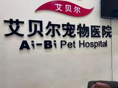 -艾贝尔宠物医院 ·内科全科(梁溪路店)