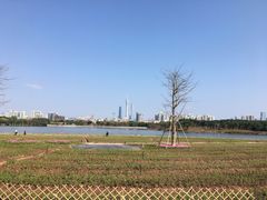 -海珠湖公园