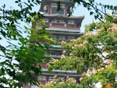 -微山湖红荷湿地景区