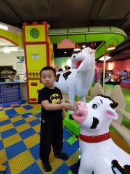 点击看大图 -宝贝渡口儿童游乐园(香炉礁山姆店)