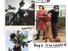 -武汉世外桃源农庄