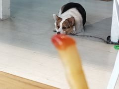 -艾蜜西餐厅(梅园店)