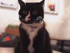 -么么咖啡(燕郊店)