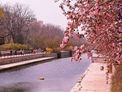 -海棠花溪(元大都城垣遗址公园)