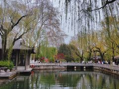 -济南大明湖景区