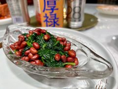 花生拌菠菜-天福苑(崇宁路店)