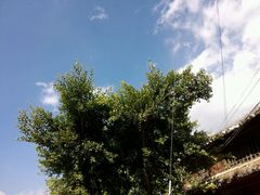 -段氏永平黄焖鸡