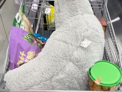 -山姆会员商店(上海浦东店)