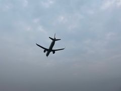 -空港花田景区