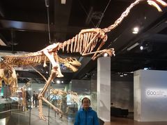 -墨尔本博物馆(Melbourne Museum)