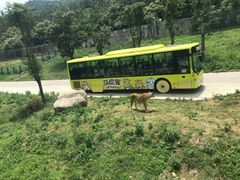-西安秦岭野生动物园