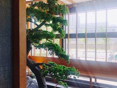 大堂-松子料理(亮马桥店)