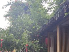 -鲤院·新中式美学·庭院餐厅(夫子庙店)