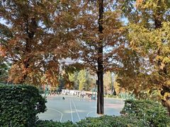 -四川大学(华西校区)