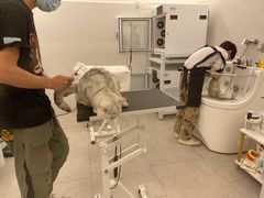 -comecome来吧宠物(奥克斯中心店)